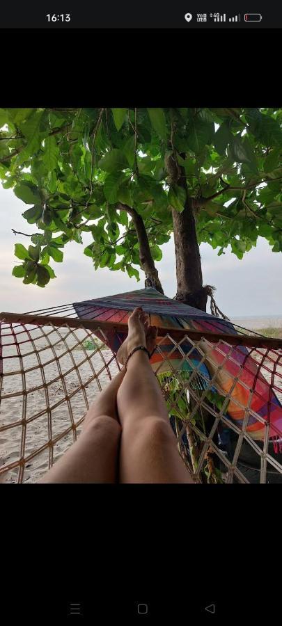 Beachcampers Only For Foreign Traveler'S Alappuzha Exteriör bild