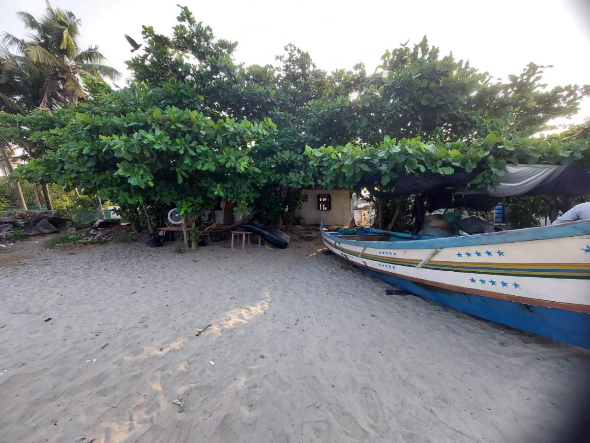 Beachcampers Only For Foreign Traveler'S Alappuzha Exteriör bild
